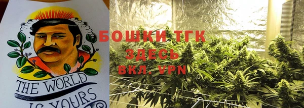 дживик Чердынь